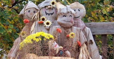 family-friendly-fall-activities